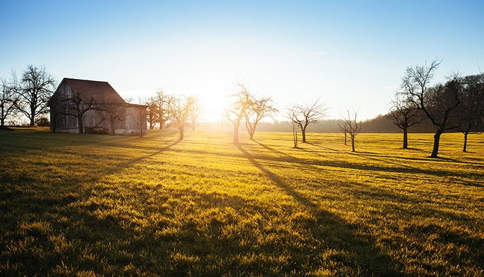 Conversion du bail à métayage en bail à ferme et atteinte disproportionnée au droit des biens