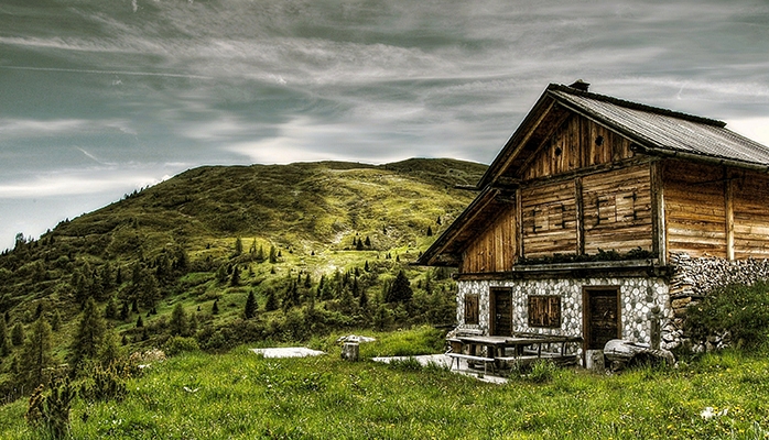 Le loup moins protégé en Europe à partir de mars 2025